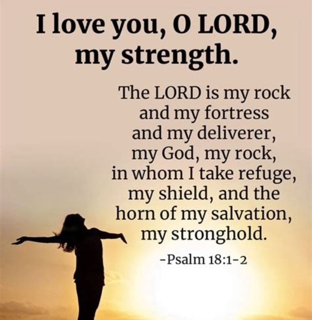 I love you, O LORD, my strength. The LORD is my rock and my fortress ...