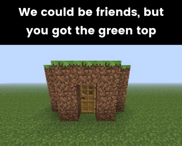 We could be friends, but you the green top - iFunny