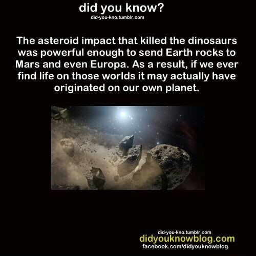 The asteroid impact that killed the dinosaurs was powerful enough to