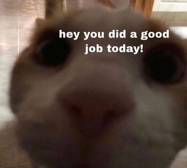 Hey you did a good job today! - iFunny