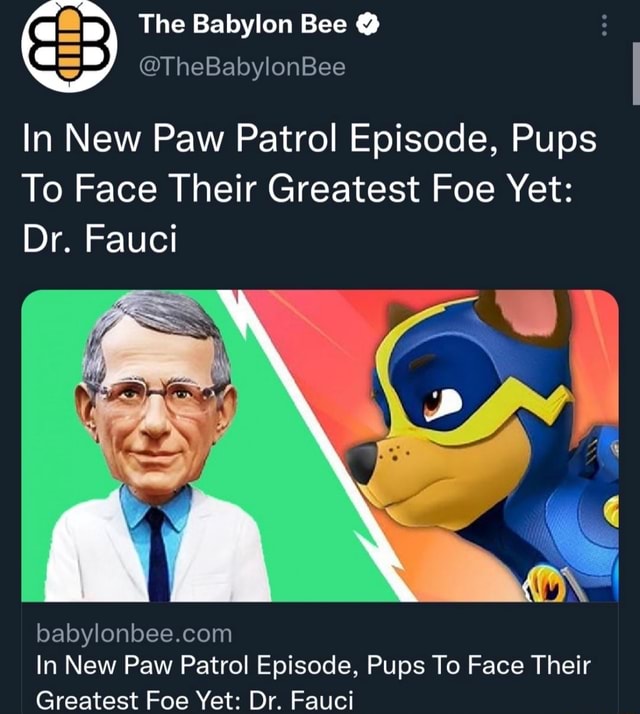 Fisker sikkerhed Theseus The Babylon Bee @ @TheBabylonBee In New Paw Patrol Episode, Pups To Face  Their Greatest Foe Yet: Dr. Fauci In New Paw Patrol Episode, Pups To Face  Their Greatest Foe Yet: Dr.