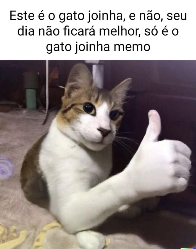 Este O Gato Joinha E N O Seu Dia N O Ficar Melhor S O Gato Joinha Memo Ifunny Brazil