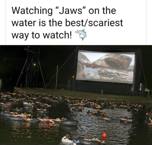 Watching "Jaws" on the water is the way to watch! America’s best pics