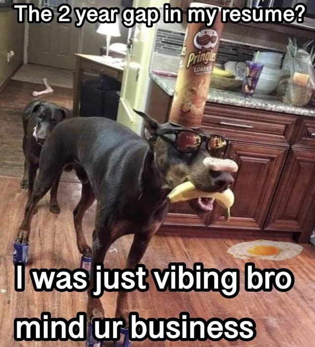 The 2 year, gap in m my resume? I was just vibing bro mind ur business
