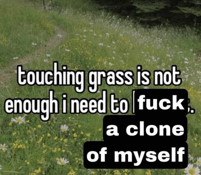 help me i need to touch grass