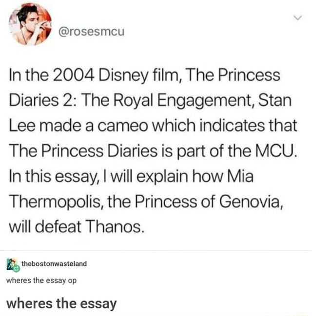 The princess diaries cast picture