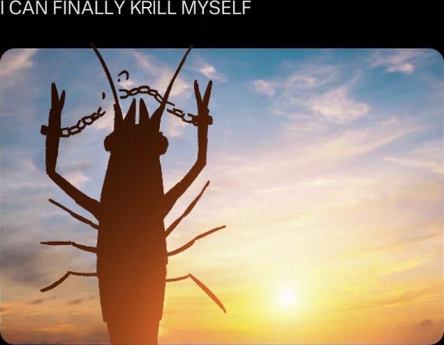 I CAN FINALLY KRILL MYSELF - iFunny