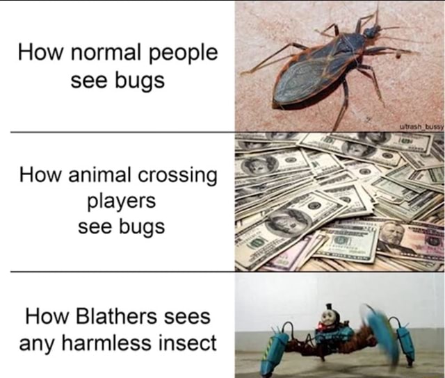 How normal people see bugs How animal crossing === players How Blathers