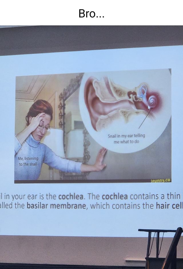 Bro... Snail in my ear telling me what to do I listening lin your ear ...
