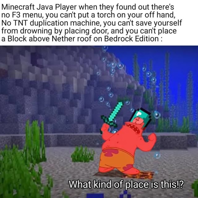 Minecraft Java Player when they found out there's no menu, you can't ...