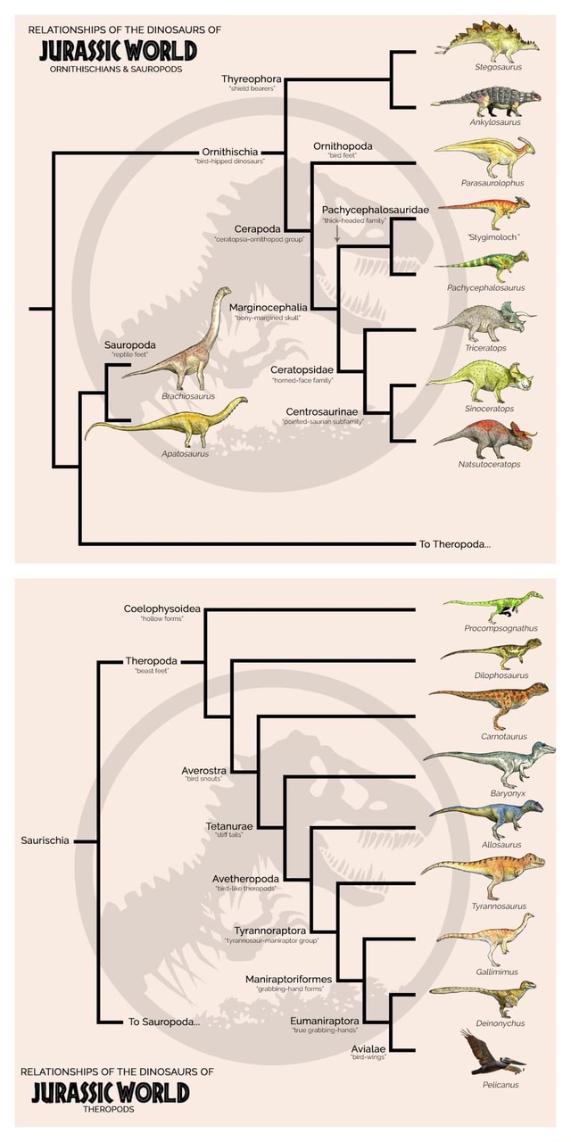 RELATIONSHIPS OF THE DINOSAURS OF JURASSIC WORLD SAUROPODS ...