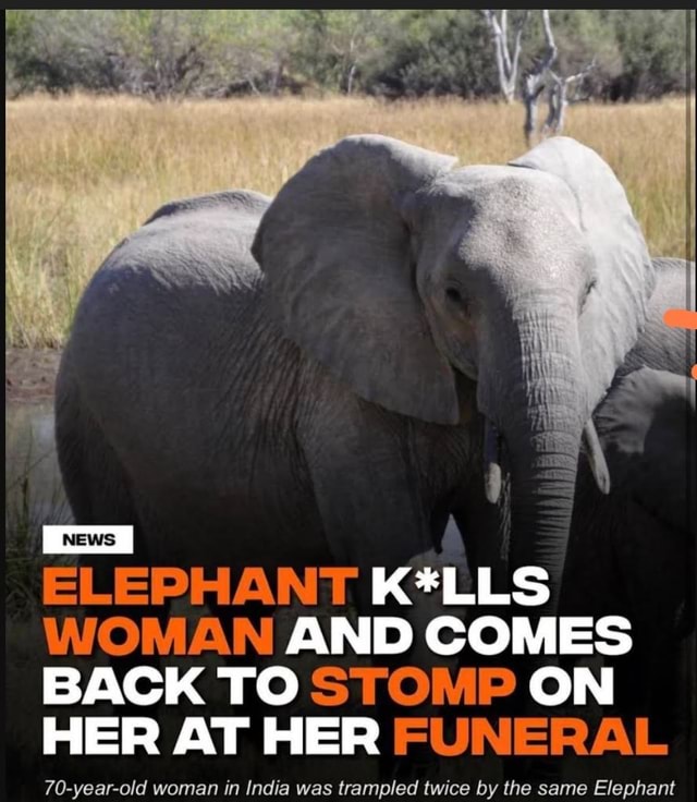 ELEPHANT K*LLS WOMAN AND COMES BACK TO STOMP ON HER AT HER FUNERAL 70