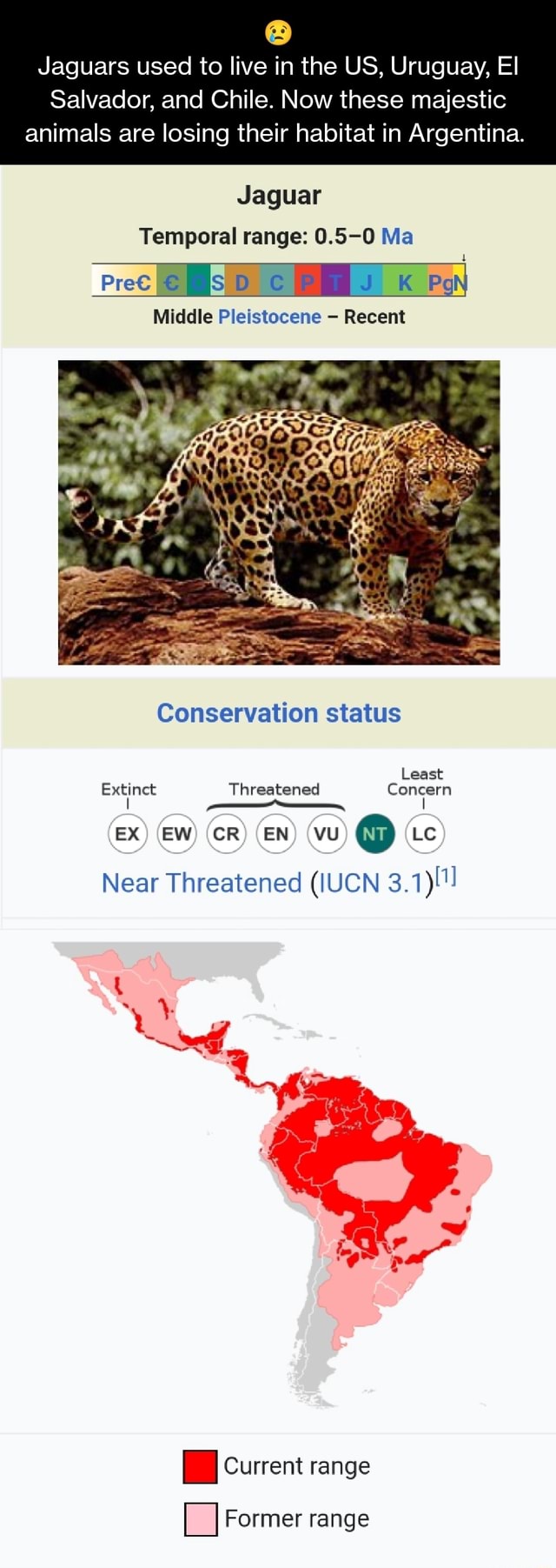 Jaguars used to live in the US, Uruguay, El Salvador, and Chile. Now these  majestic animals are losing their habitat in Argentina. Jaguar Temporal  range: 0.5-0 Ma Prec Ms c pa Middle