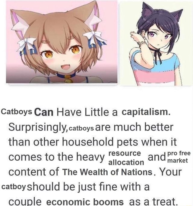 Catboys Can Have Little A Capitalism Surprisingly Catboysare Much Better Than Other Household 