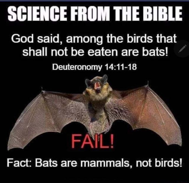 OGIENCE FROM THE BIBLE God said, among the birds that shall not be eaten are bats! Deuteronomy