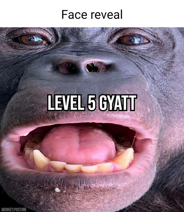 Face reveal LEVEL 5 GYATT - iFunny Brazil