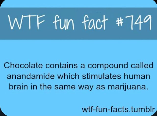 WTF fun fact Chocolate contains a compound called anandamide which ...