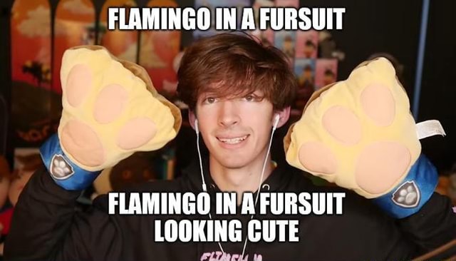 FLAMINGO IN A FURSUIT FLAMINGO IN A FURSUIT LOOKING CUTE - iFunny