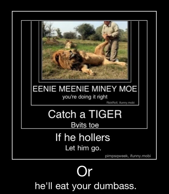 eenie meenie miney mo catch a tiger by its toe eenie meenie miney mo catch a tiger by its toe