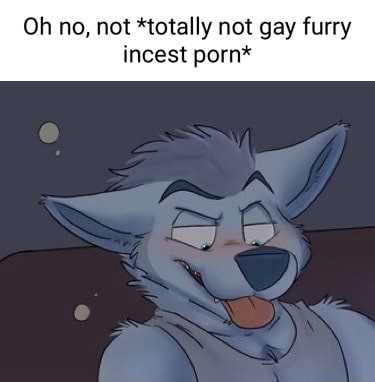 Oh No Not Totally Not Gay Furry Incest Porn Bx Ifunny