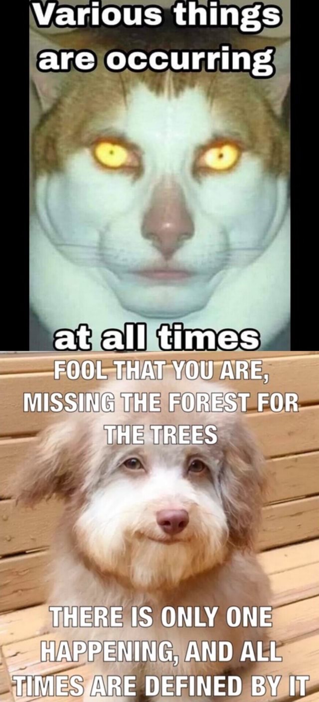 Various things are occurring at all times fool that you are missing