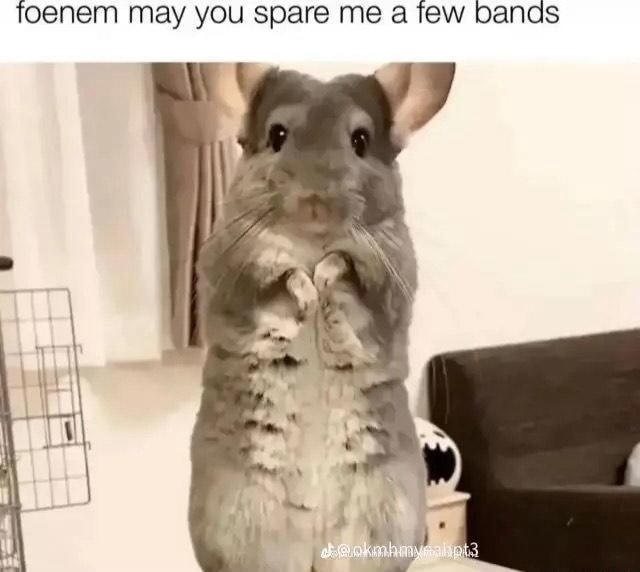 foenem-may-you-spare-me-a-few-bands-ifunny