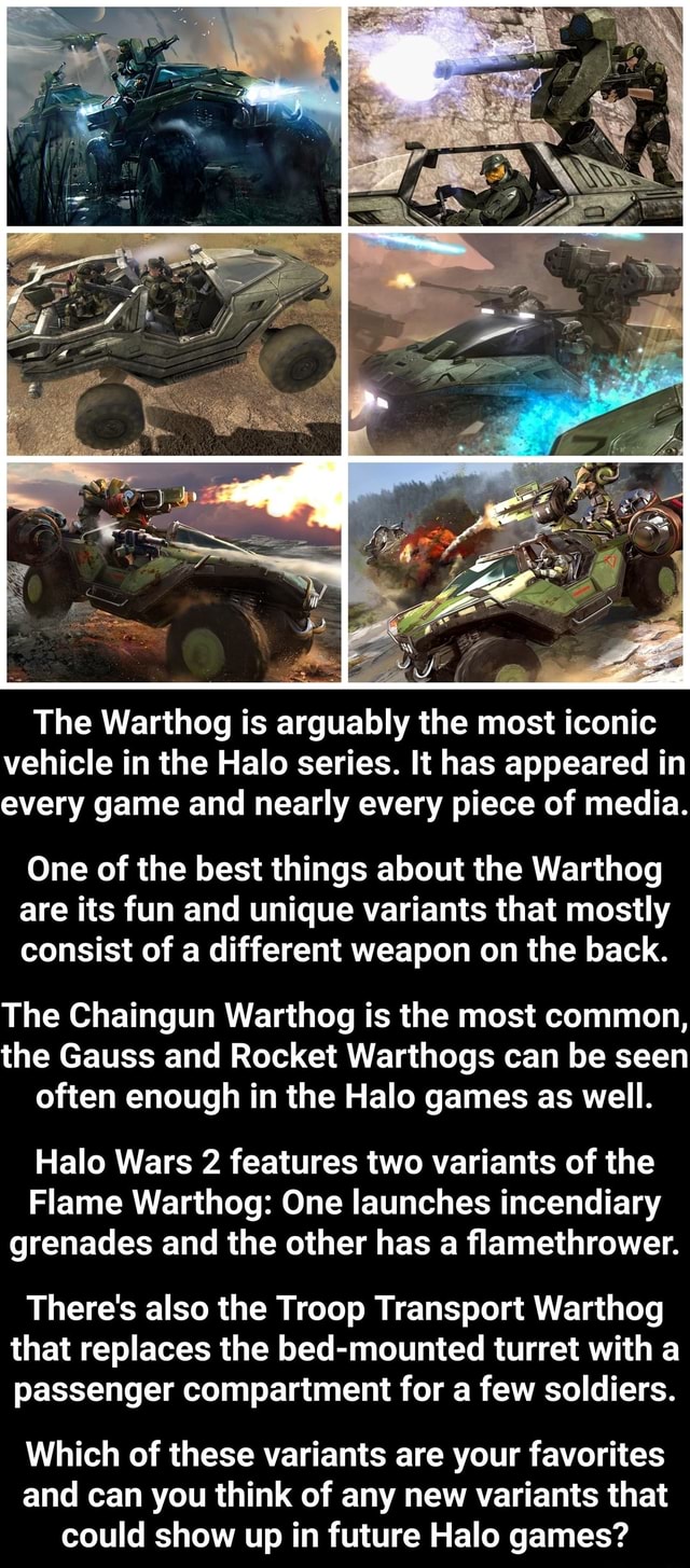 We The Warthog Is Arguably The Most Iconic Vehicle In The Halo Series