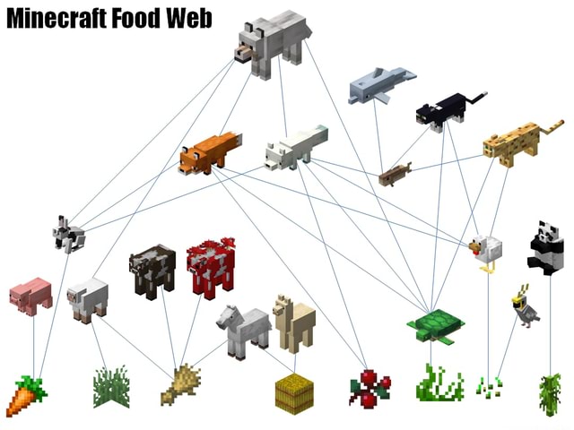 Minecraft Biology: Evolution and Food Chain. - Minecrait Food Web - iFunny