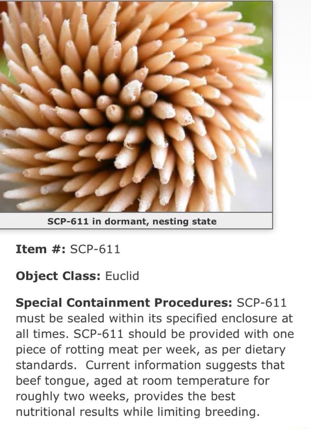 Scp 611 In Dormant Nesting State Item Scp 611 Object Class Euclid Special Containment Procedures Scp 611 Must Be Sealed Within Its Specified Enclosure At All Times Scp 611 Should Be Provided With One Piece