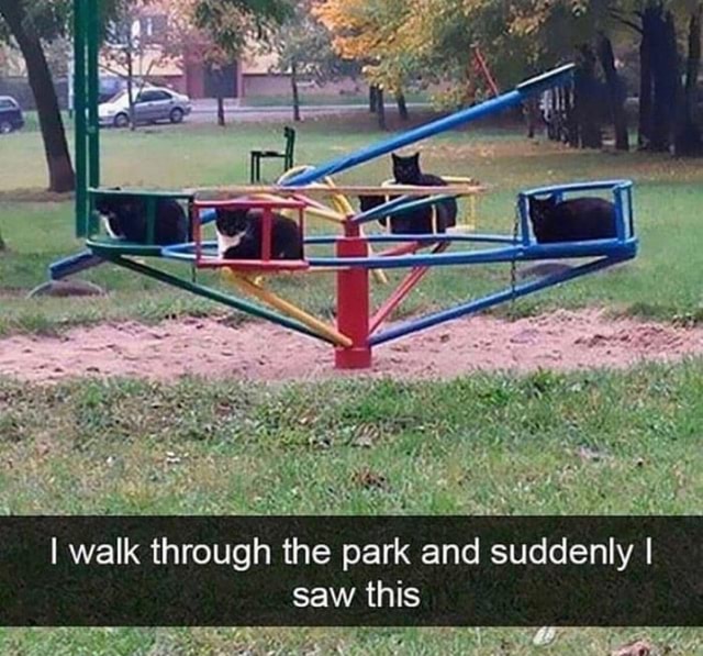 I walk through the park a saw this - iFunny