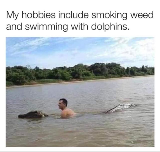 My hobbies include smoking weed and swimming with dolphins ...