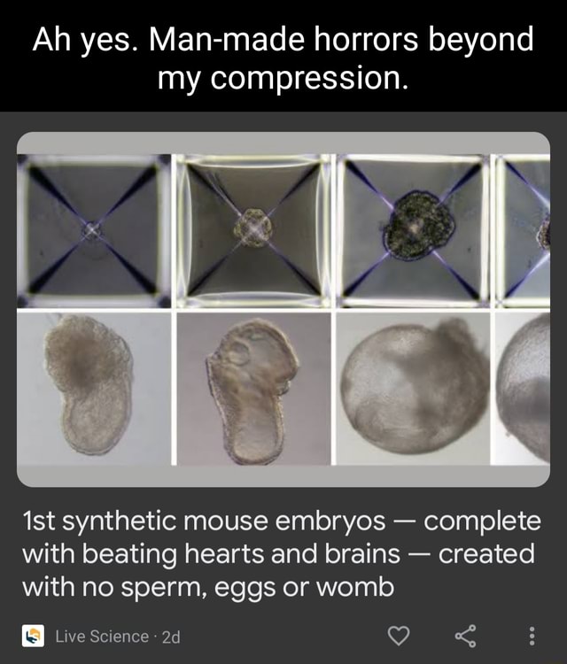 Ah yes. Man-made horrors beyond my compression. ist synthetic mouse ...