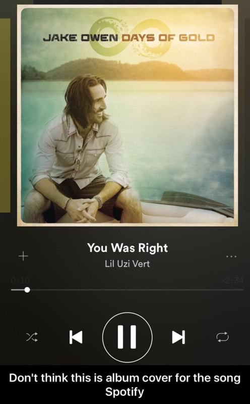 you was right lil uzi vert album name
