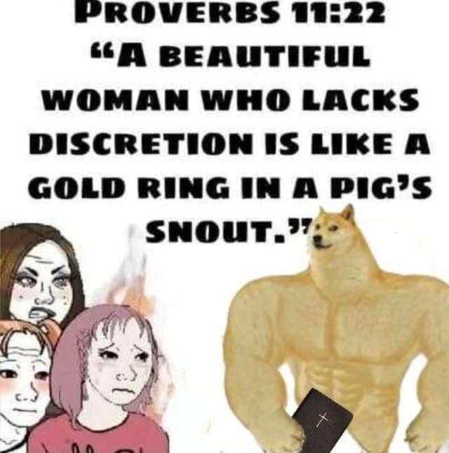 PROVERBS 