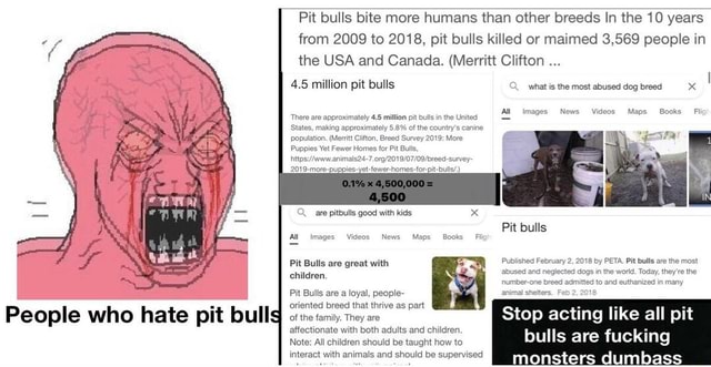 pit-bulls-bite-more-humans-than-other-breeds-in-the-10-years-from-2009