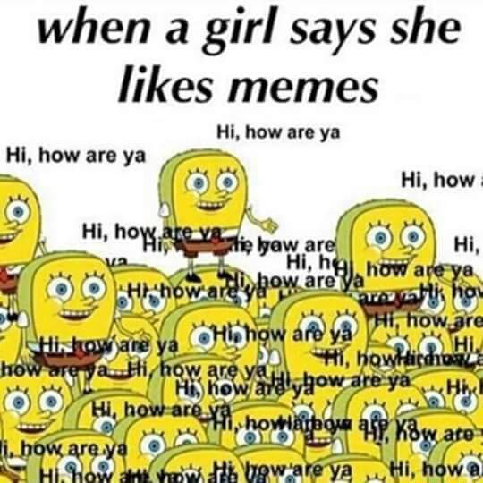 when-a-girl-says-she-likes-memes-hi-how-au-ya-hi-how-are-ya