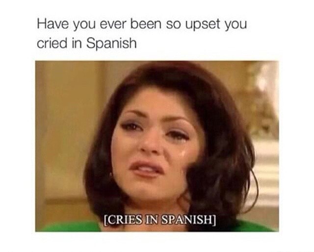 have-you-ever-been-so-upset-you-cried-in-spanish-criesin-spanish