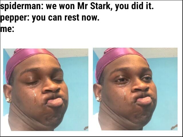 Piderman: we won Mr Stark, you did it. pepper: you can rest now. me ...