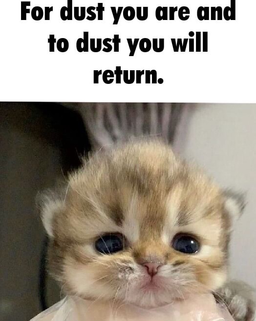 For dust you are and to dust you will return. - iFunny