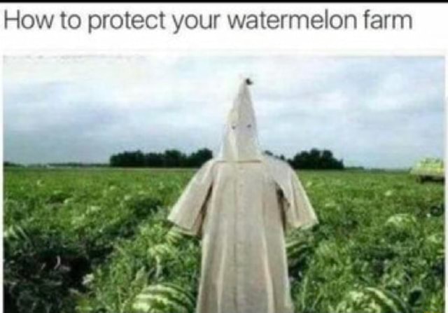 How To Protect Your Watermelon Farm Ifunny