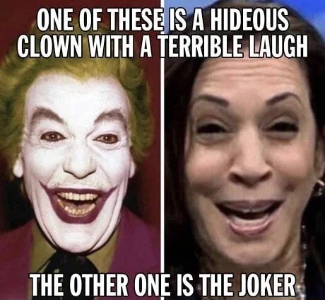 ONE OF THESE IS A HIDEOUS CLOWN WITH A TERRIBLE LAUGH THE OTHER ONE IS THE  JOKER - )