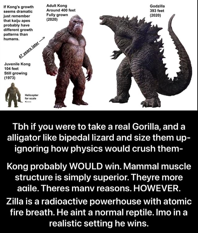 If Kong's growth Adult Kong Godzilla seems dramatic Around 400 feet 393