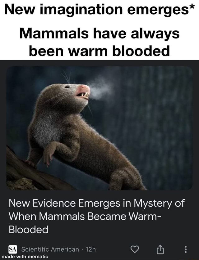 New imagination emerges* Mammals have always been warm blooded New