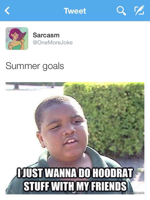 Tweet Summer Goals Just Wanna Do Hoodrat Stuff With My Friends Am Ifunny