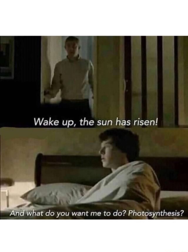 Wake up, the sun has risen! n what do you want me to do? Photosynthesis