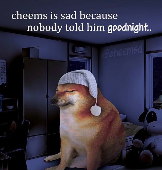 Cheems Is Sad Because Nobody Told Him Goodnight Ifunny