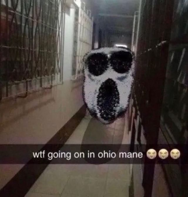 Wtf Going On In Ohio Mane Ifunny