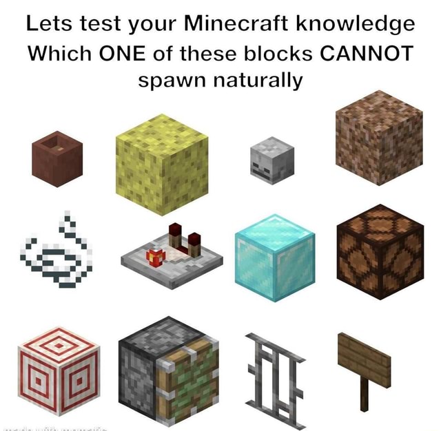 Lets test your Minecraft knowledge Which ONE of these blocks CANNOT ...