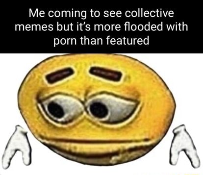 Me coming to see collective memes but it's more flooded with porn than