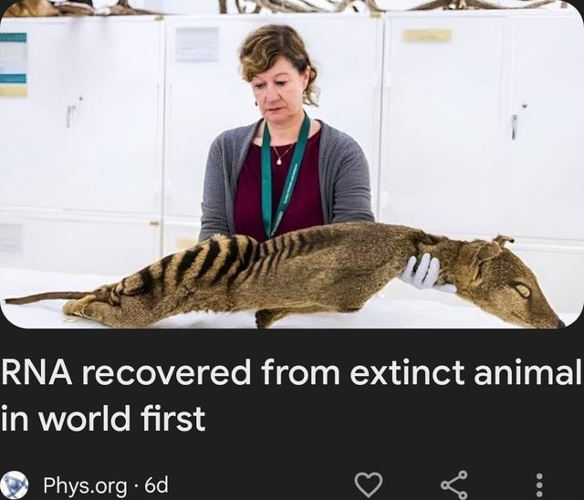 RNA Recovered From Extinct Animal In World First - IFunny